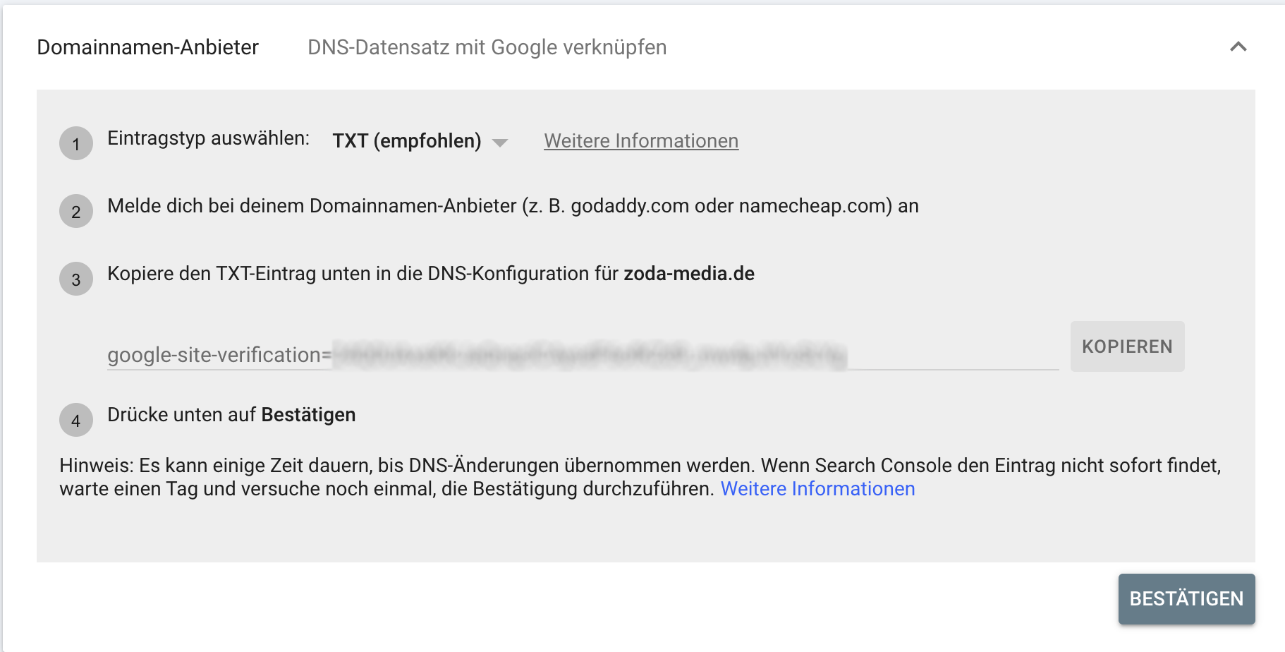 dns einrichtung search console